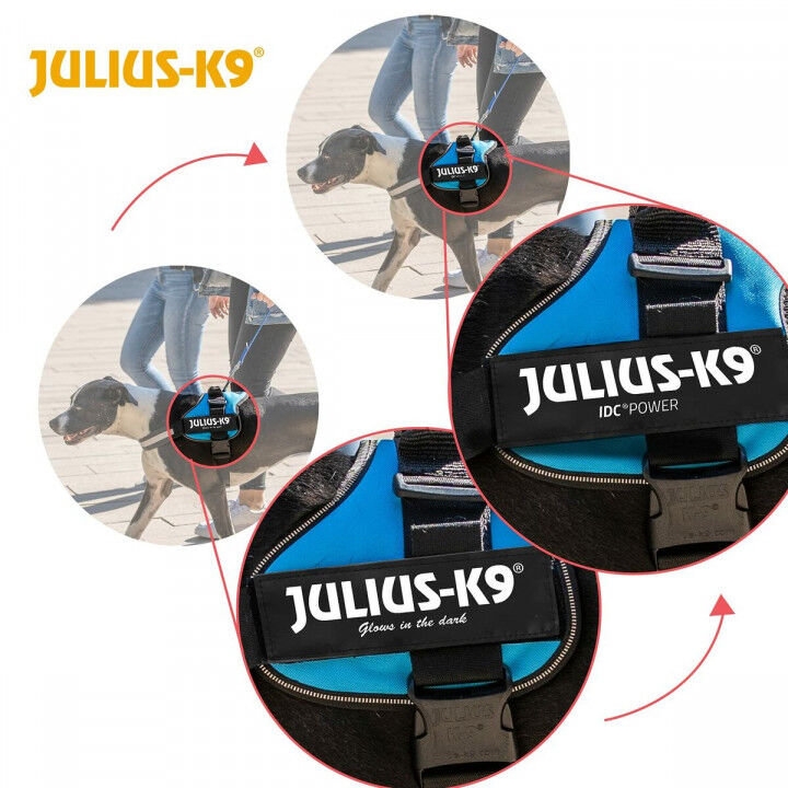 Imbracatura Rinforzata per Cani JuliusK9