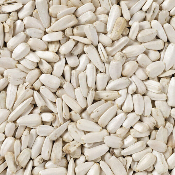 Vogelvoer Deli Nature 2 Kg Zonnebloempitten