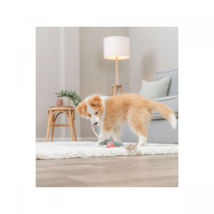 Knuffel voor honden Trixie