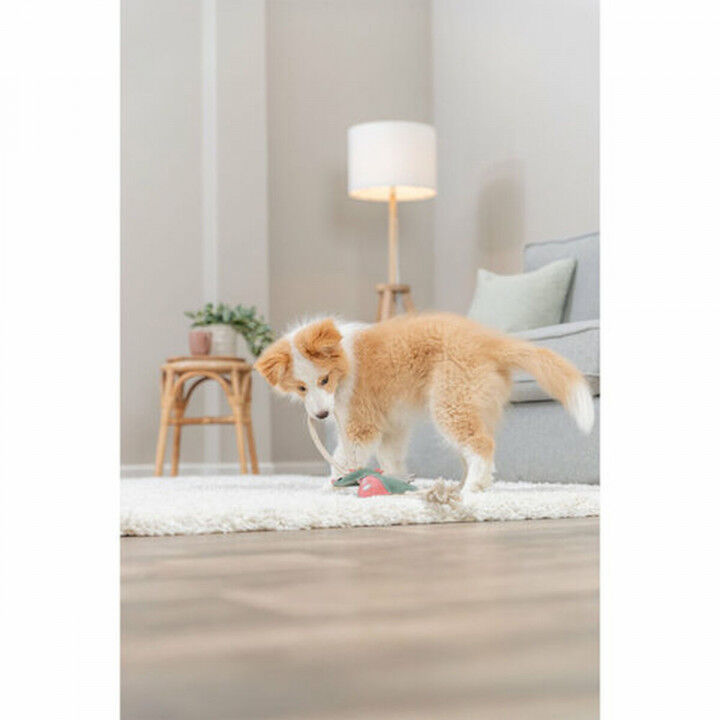 Knuffel voor honden Trixie