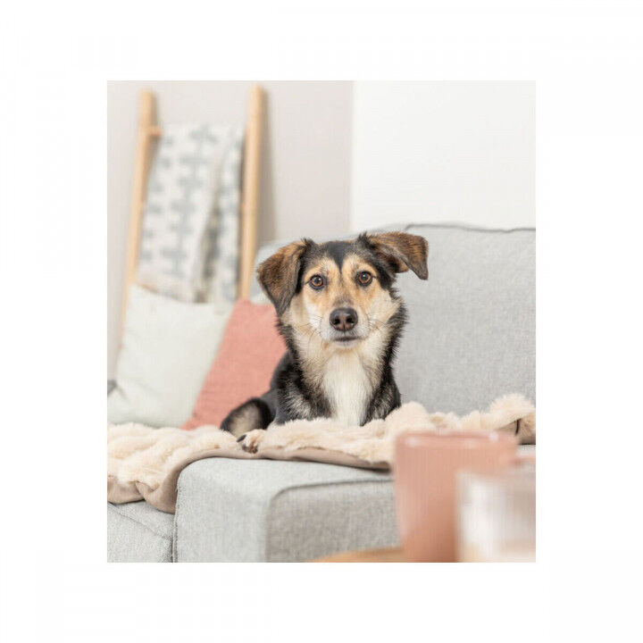 Huisdierendeken Trixie Elli Zand Polyester 100 × 70 CM