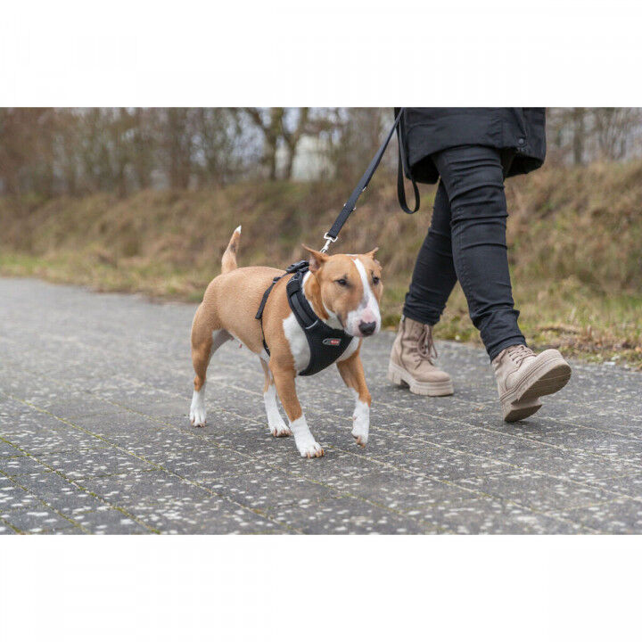 Dog Harness Trixie Premium FlexMesh Black S-M