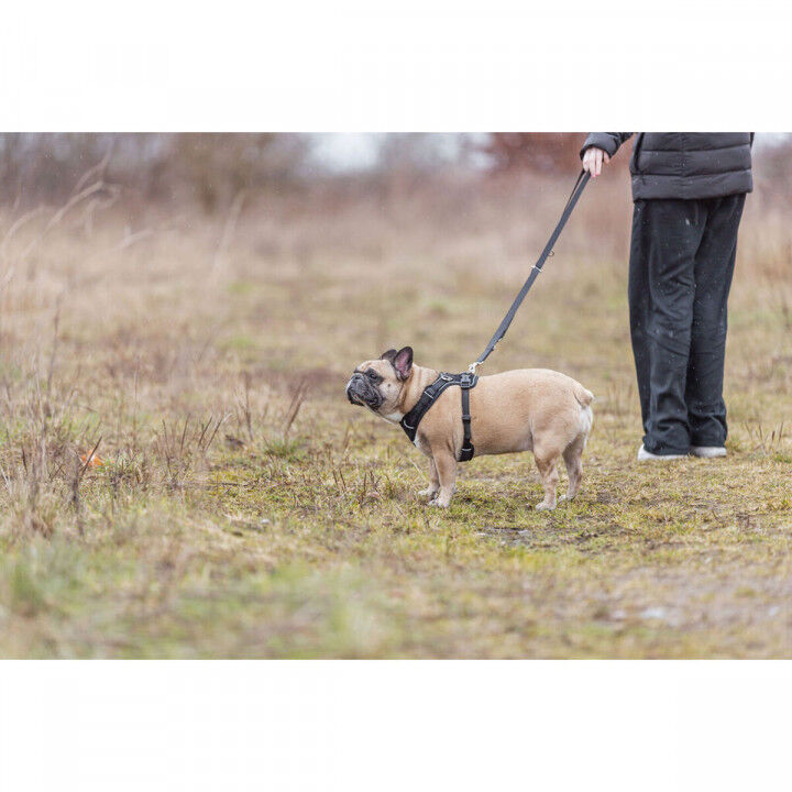 Arnés para Perro Trixie Premium FlexMesh Negro S-M
