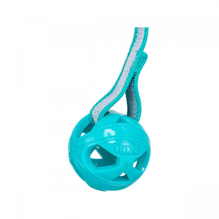 Pet Ball Trixie Turquoise TPE Ball ø 6 x 23 cm