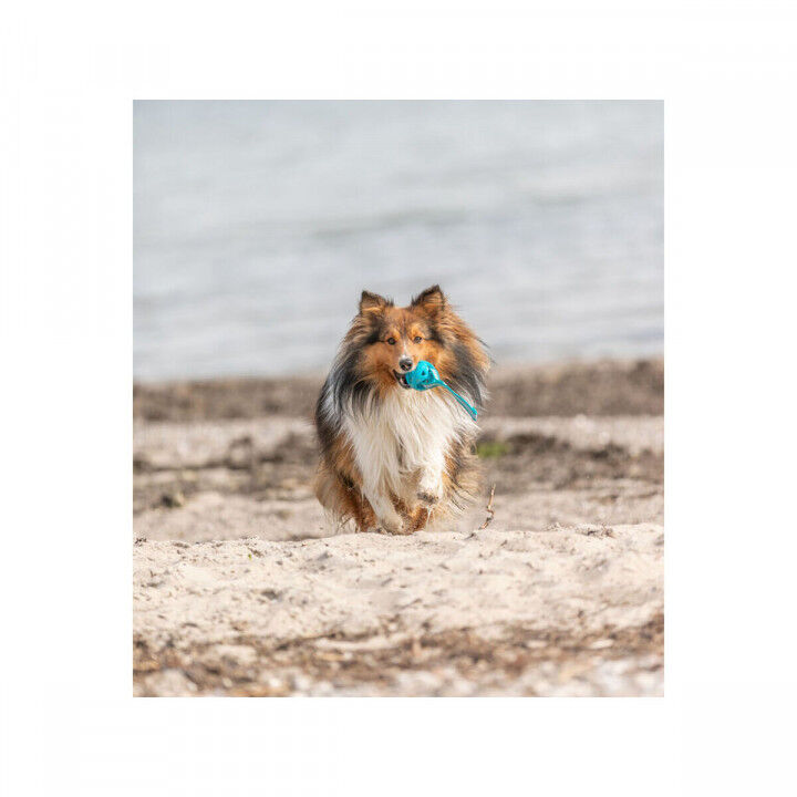 Palla per Animali Domestici Trixie Turchese TPE Sfera ø 6 x 23 cm