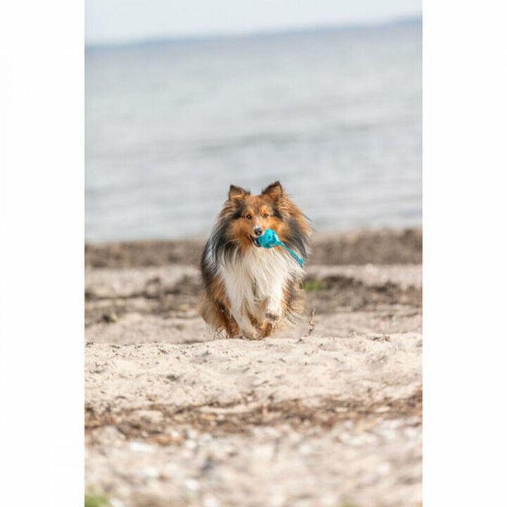 Pelota para Mascotas Trixie Turquesa TPE Bola ø 6 x 23 cm