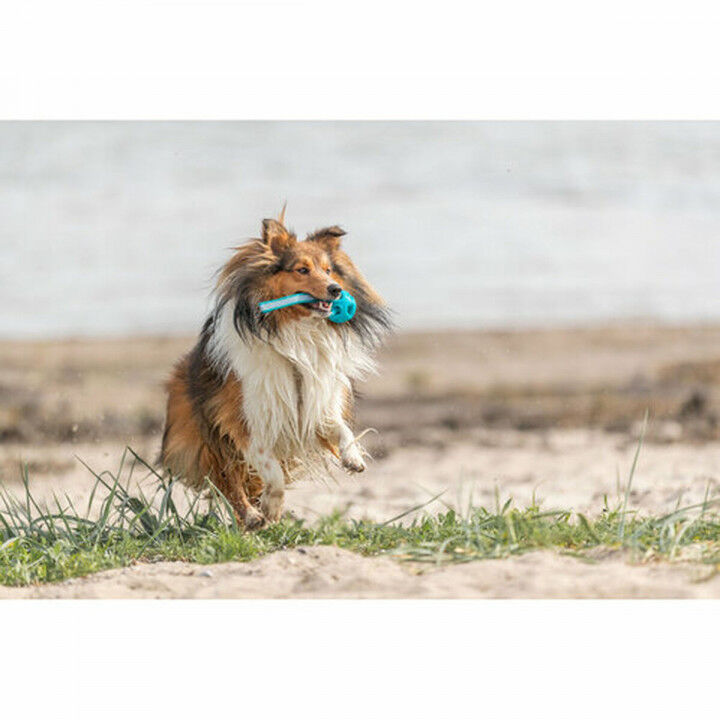 Pelota para Mascotas Trixie Turquesa TPE Bola ø 6 x 23 cm