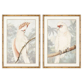 Cuadro DKD Home Decor Loro Tropical 50 x 3 x 70 cm (2 Unidades)