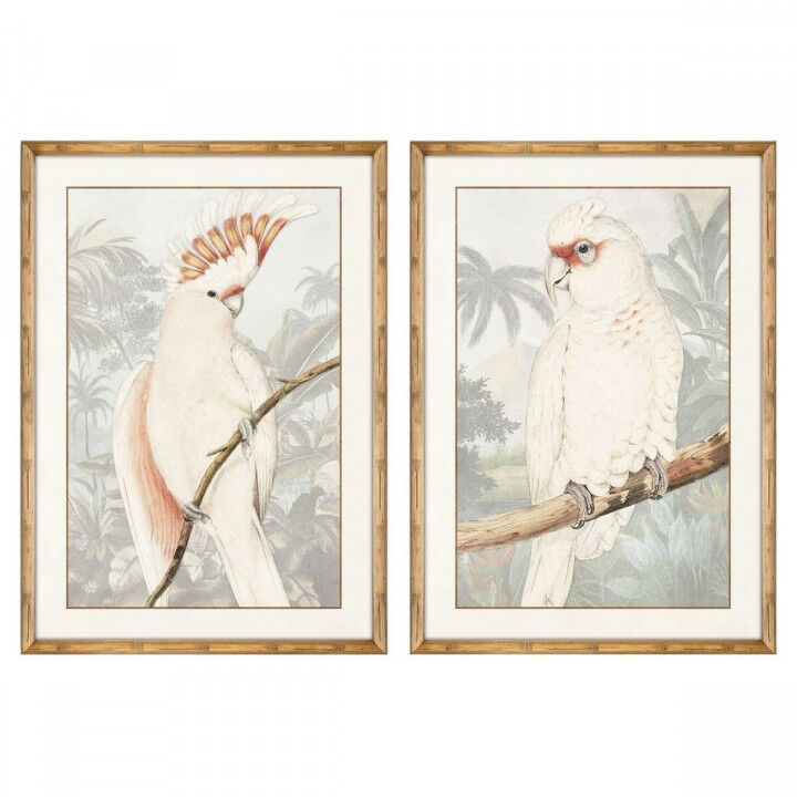 Cuadro DKD Home Decor Loro Tropical 50 x 3 x 70 cm (2 Unidades)