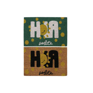 Zerbino DKD Home Decor Nero Marrone Gomma Bianco Verde 2 Unità Fibra di cocco (60 x 40 x 1,5 cm)