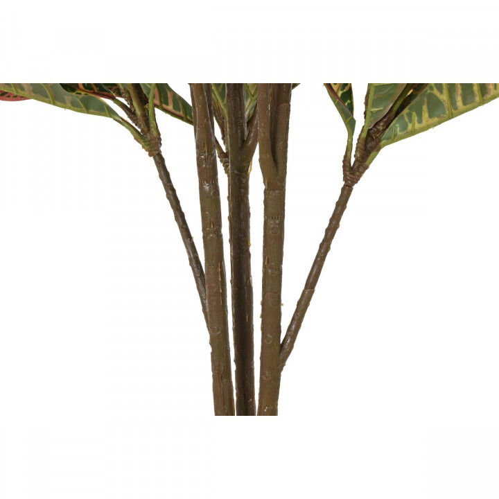 Decoratieve plant DKD Home Decor Bruin Polyethyleen Groen 50 x 50 x 140 cm