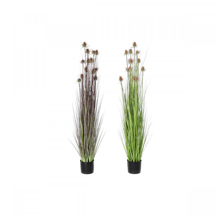 Plante décorative DKD Home Decor 40 x 40 x 150 cm Rose Lila Polyéthylène PVC (2 Unités)