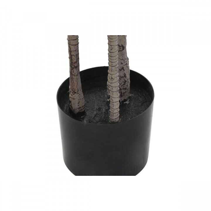 Decoratieve plant DKD Home Decor (80 x 80 x 180 cm)