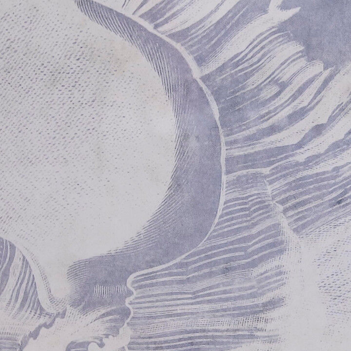 Schilderij DKD Home Decor Kristal Rotan 50 x 2 x 60 cm 50 x 60 x 2,5 cm Schelp