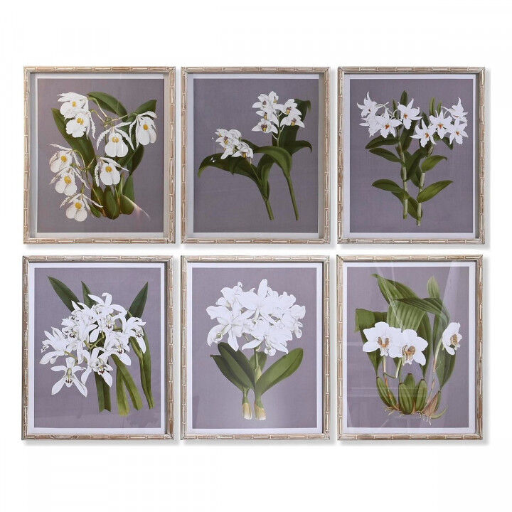 Cadre DKD Home Decor Verre Sapin 50 x 60 x 2,8 cm 50 x 2,8 x 60 cm