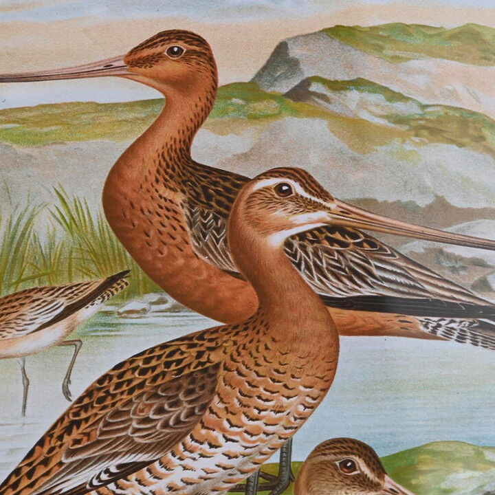 Bild DKD Home Decor Kristall Holz MDF 40 x 50 x 1,8 cm 40 x 1,8 x 50 cm