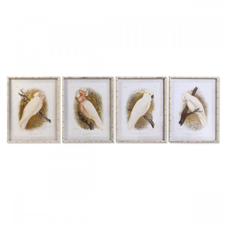 Leinwand DKD Home Decor 50 x 2,8 x 65 cm 50 x 65 x 2.8 cm Papagei Cottage (4 Stücke)