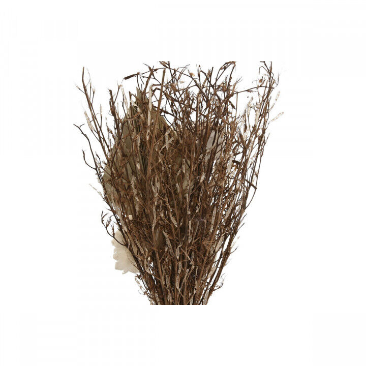 Pianta Decorativa Home ESPRIT Cristallo Fiore 11 x 11 x 40 cm (3 Unità)