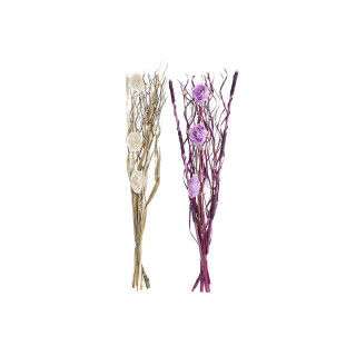 Boeket DKD Home Decor Roze Lila Wit Gedroogde bloem (30 x 30 x 100 cm) (2 Stuks)