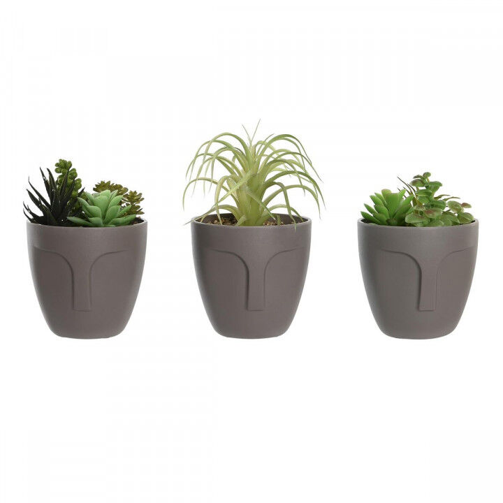 Decoratieve plant DKD Home Decor Grijs Beige Polyethyleen Groen Polypropyleen (11 x 11 x 15 cm) (3 Stuks)