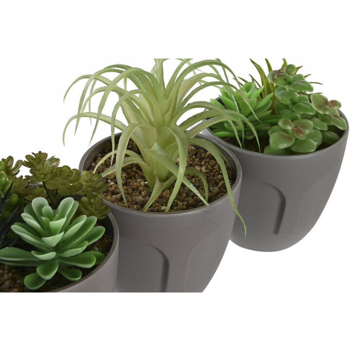 Decoratieve plant DKD Home Decor Grijs Beige Polyethyleen Groen Polypropyleen (11 x 11 x 15 cm) (3 Stuks)