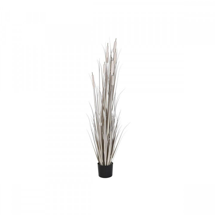 Planta Decorativa DKD Home Decor Juncos (45 x 45 x 150 cm)
