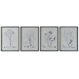 Painting DKD Home Decor Modern Botanical plants 45 x 2,5 x 60 cm (4 Units)