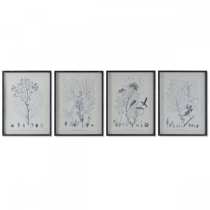 Quadro DKD Home Decor Moderno Piante botaniche 45 x 2,5 x 60 cm (4 Unità)