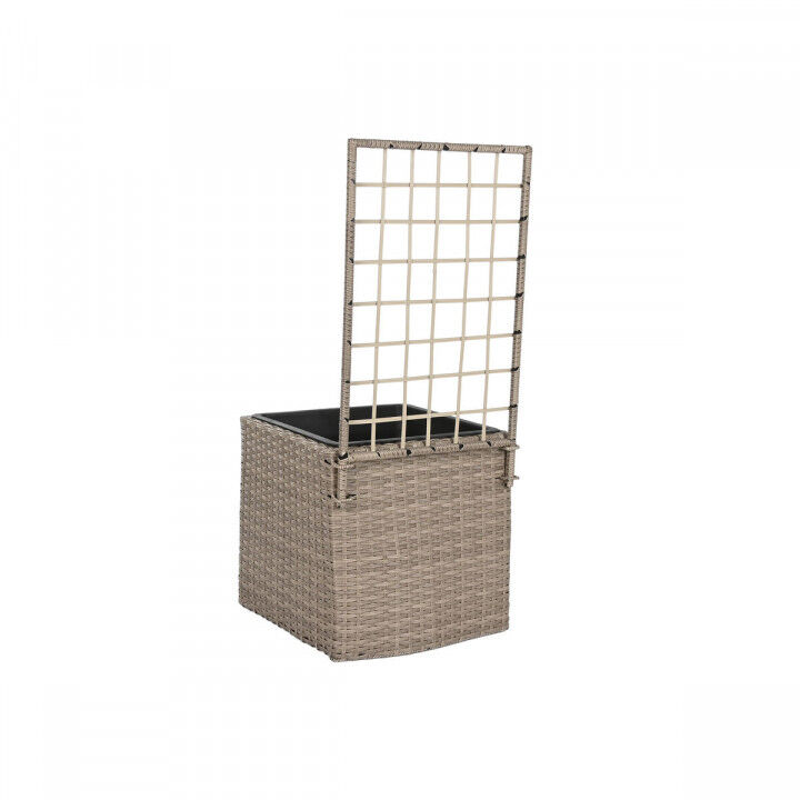 Grondlegger Home ESPRIT Polypropyleen Rotan 48 x 52 x 114 cm