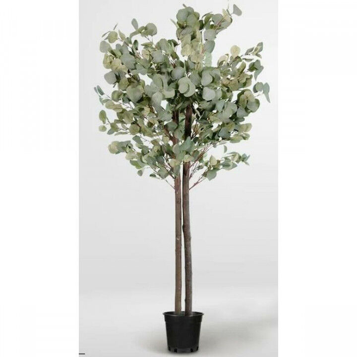 Árbol Home ESPRIT Poliéster Madera Cemento Eucalipto 90 x 90 x 180 cm