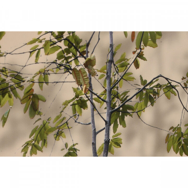 Schilderij Home ESPRIT Aluminium Hout MDF 80 x 3,5 x 160 cm