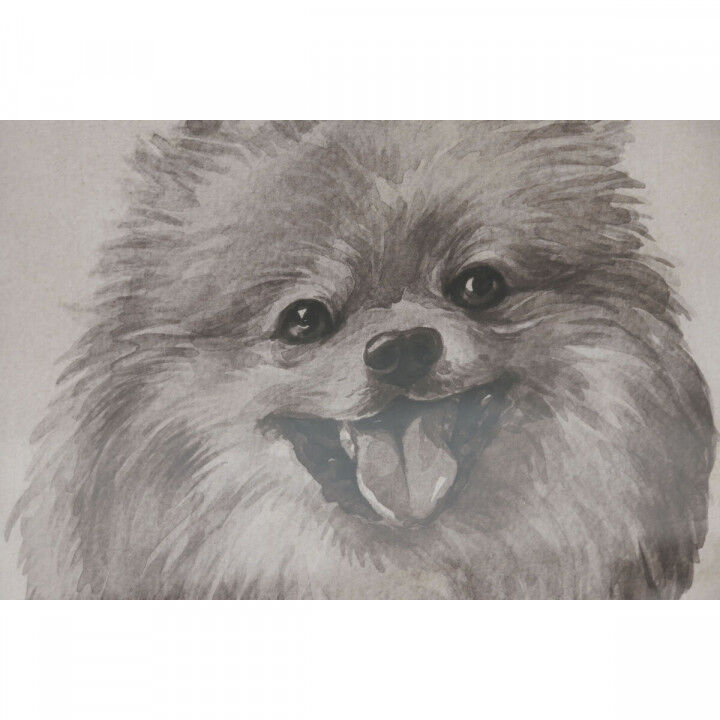 Quadro Home ESPRIT Cristallo Abete 30 x 2,5 x 40 cm (6 Unità)