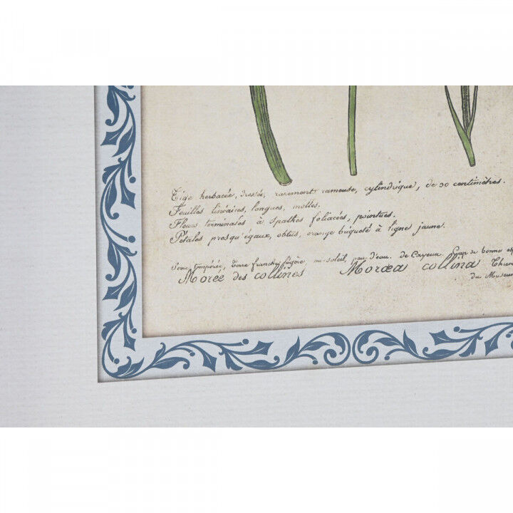 Quadro Home ESPRIT Cristallo Legno MDF 40 x 2,5 x 50 cm