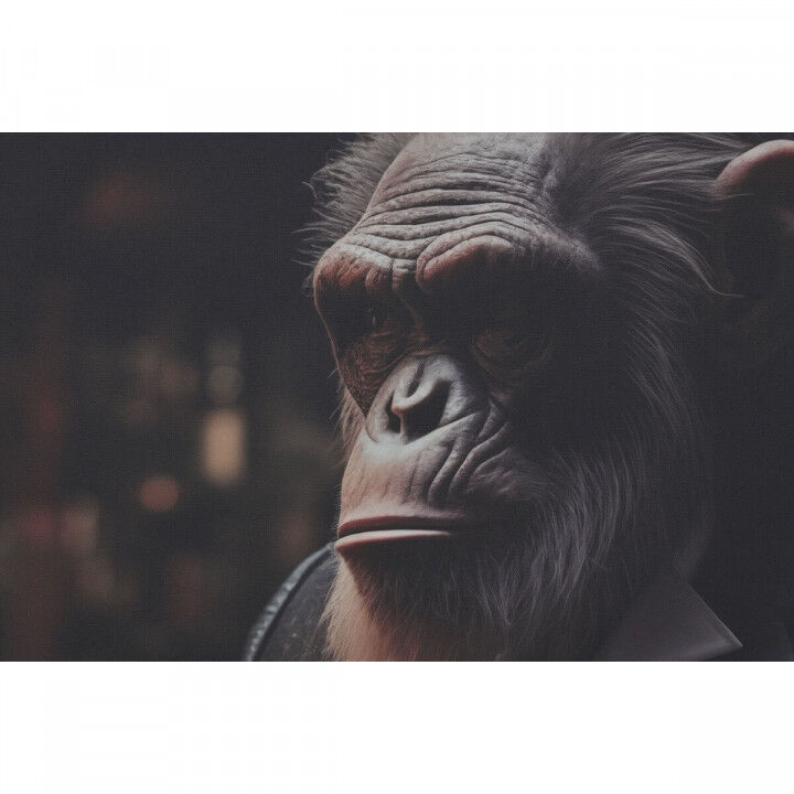 Tela Home ESPRIT Tela 120 x 3 x 80 cm