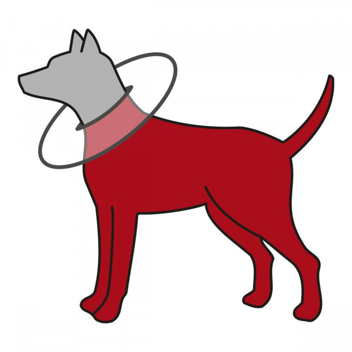 Collar Isabelino para Perros Trixie 19423 Gris Espuma