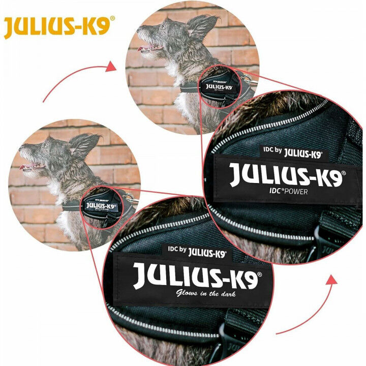 Dog Harness Julius K9 IDC Black