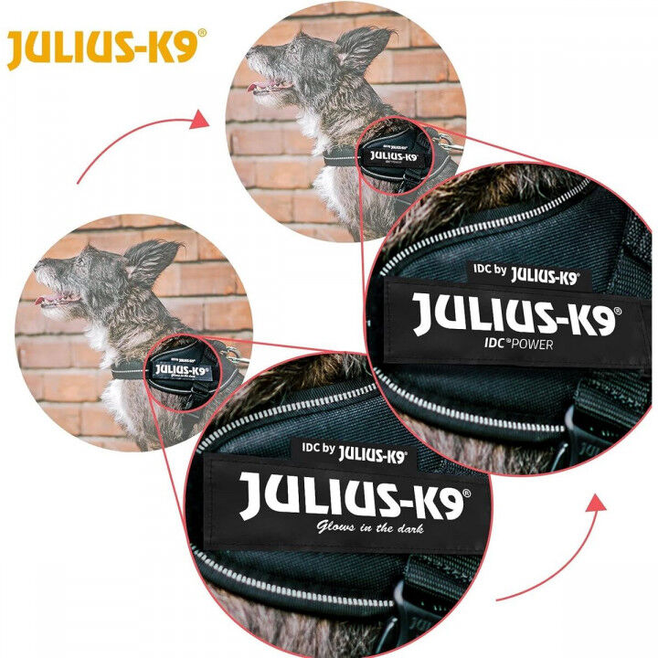 Arnés para Perro Julius K9 IDC Negro