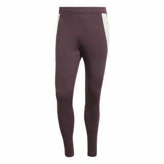Pantalón Largo Deportivo Adidas Fc Bayern 24/25 Tiro24 Marrón Granate Hombre