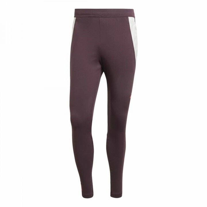 Lange sportbroek Adidas Fc Bayern 24/25 Tiro24 Bruin Kastanjebruin Mannen