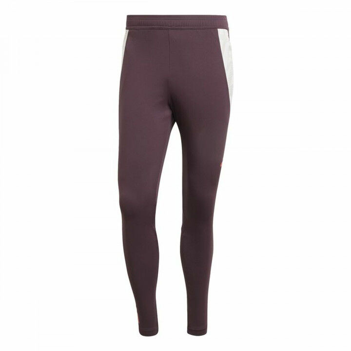 Pantalone Lungo Sportivo Adidas Fc Bayern 24/25 Tiro24 Marrone Rosso Granato Uomo