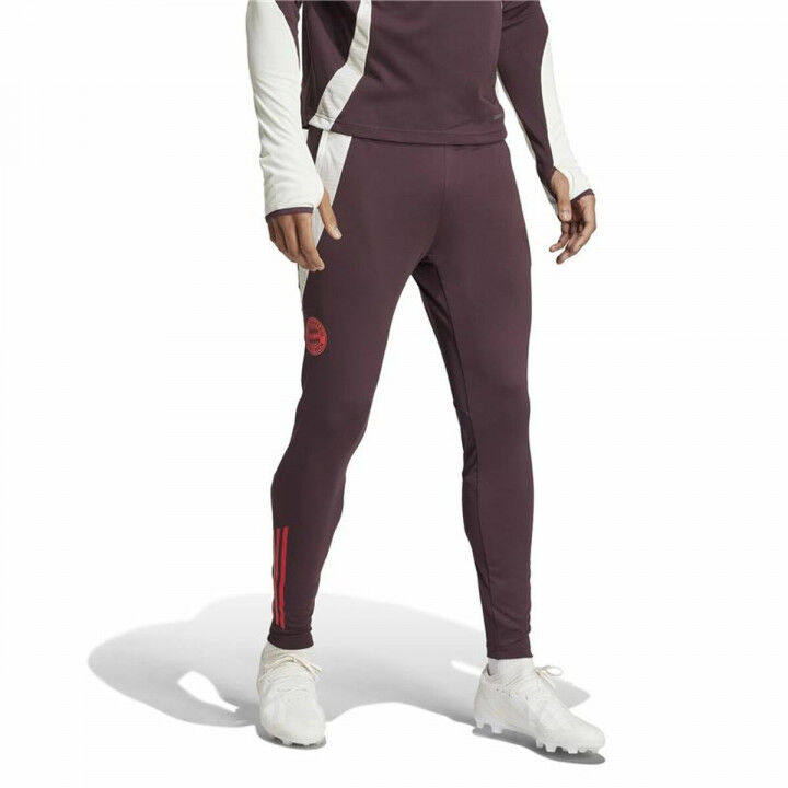 Lange sportbroek Adidas Fc Bayern 24/25 Tiro24 Bruin Kastanjebruin Mannen