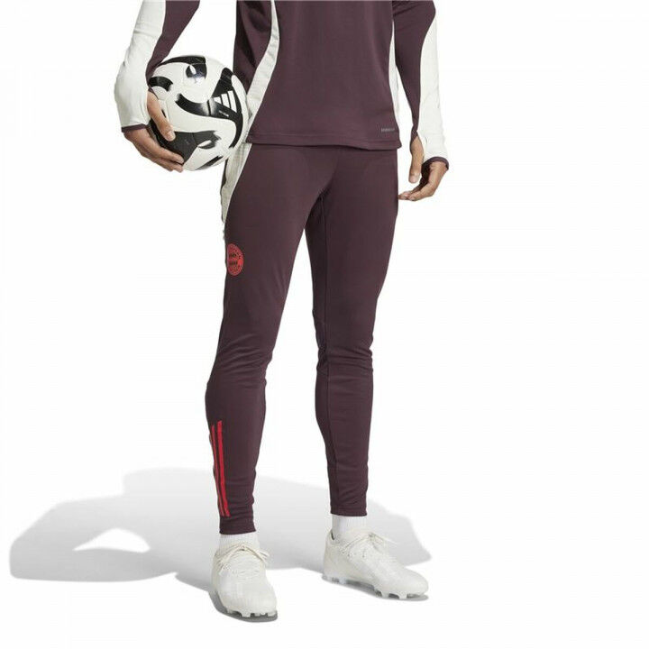 Lange sportbroek Adidas Fc Bayern 24/25 Tiro24 Bruin Kastanjebruin Mannen