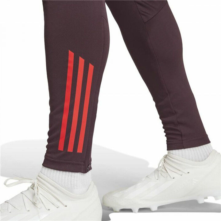 Pantalone Lungo Sportivo Adidas Fc Bayern 24/25 Tiro24 Marrone Rosso Granato Uomo