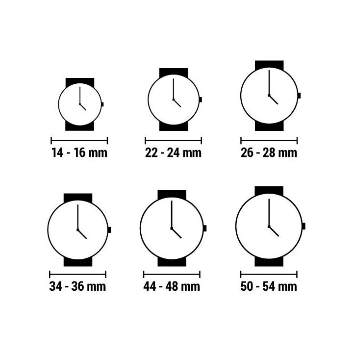 Horloge Heren Hamilton H693010 (Refurbished A)