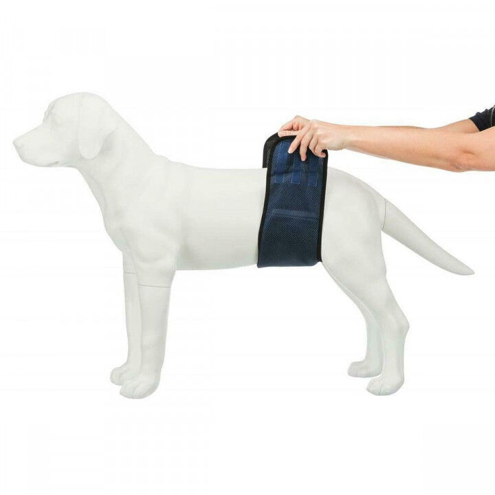 Incontinence Protector Trixie Male Plug Abdomen