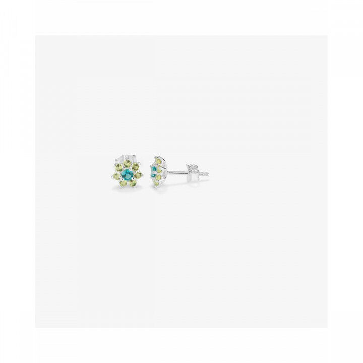 Ladies' Earrings Radiant RY000109