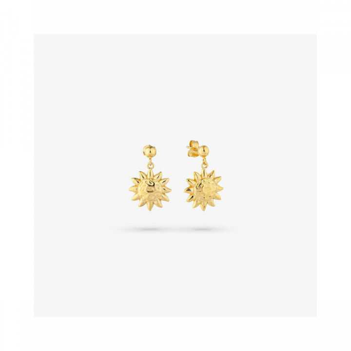 Oorbellen Dames Radiant RY000149