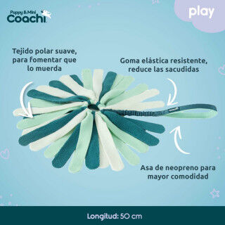 Hondentuigje Coachi