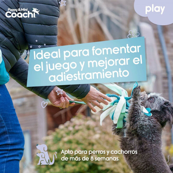 Hundegeschirr Coachi