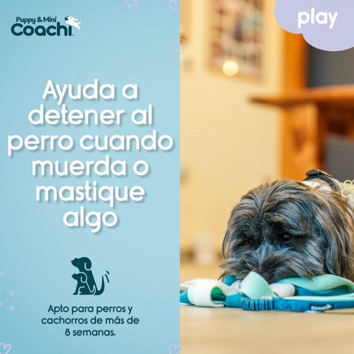 Hundegeschirr Coachi